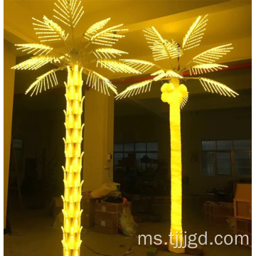 Cahaya pokok kelapa sawit